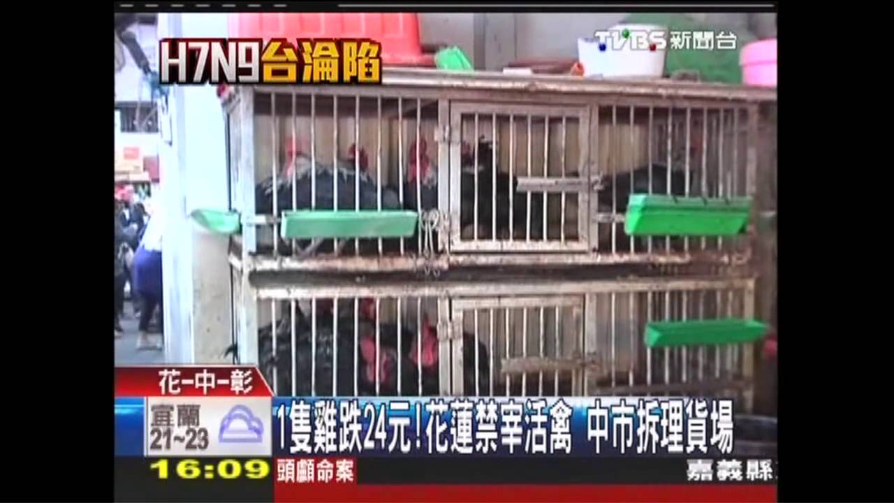 1隻雞跌24元!花蓮禁宰活禽 中市拆理貨場