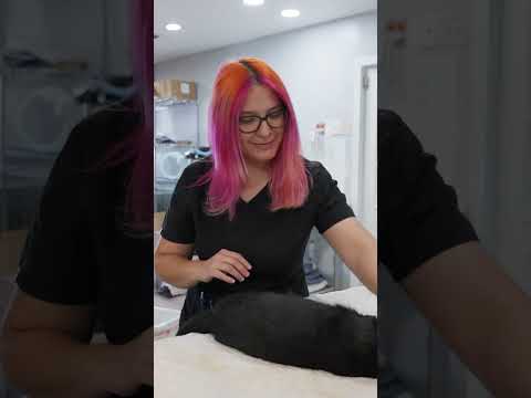 HCAL Big Give video thumbnail