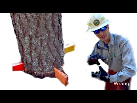 Secret Quad Wedge Revealed | Sawyer S-212