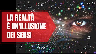 La realtà è un'illusione dei sensi