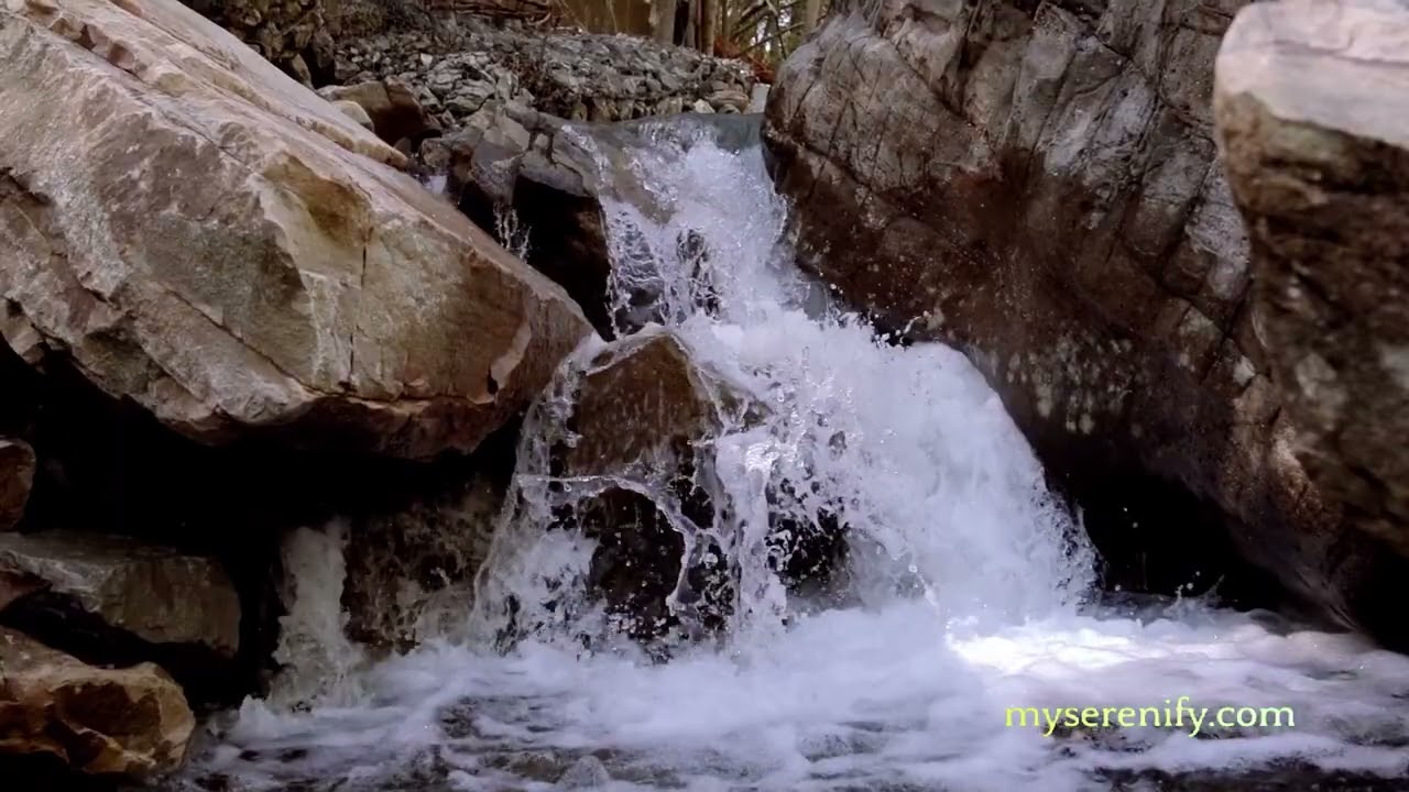 Harnessing the Power of High-Intensity Meditation Songs, hi meditation songs