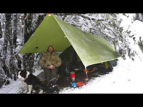 Tent CAMPING in the SNOW - Fire - Dog - ASMR