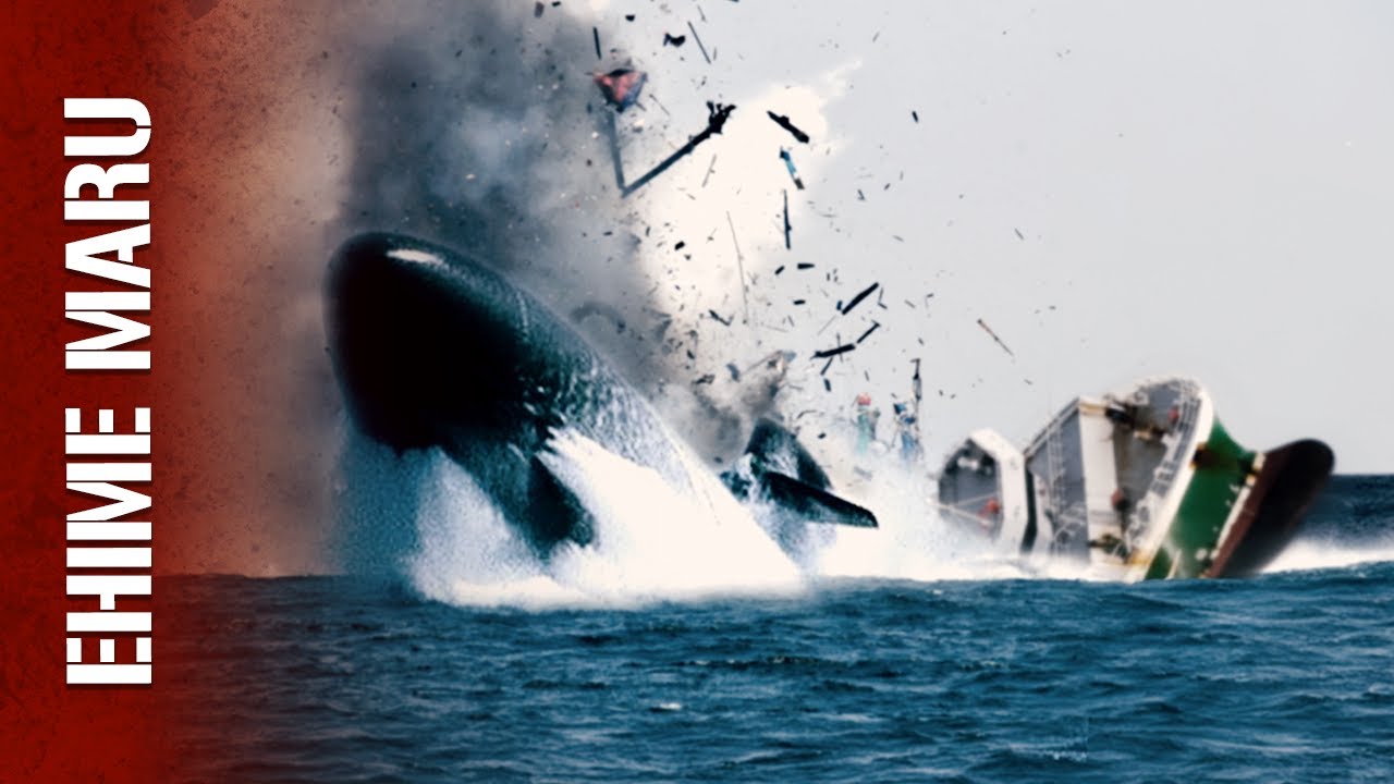 Submarine Slices Ship in Half