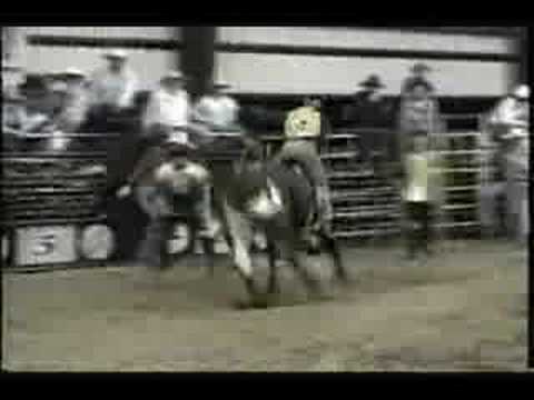 Randant and Lee Bucking Bulls - Knot Head