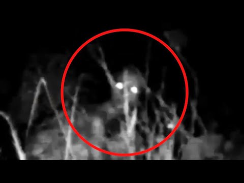 5 TIMES CHUPACABRA CAUGHT ON CAMERA & SPOTTED IN REAL LIFE!