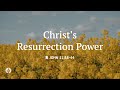 Christ S Resurrection Power Audio Reading Our Daily Bread Devotional September 29 2025