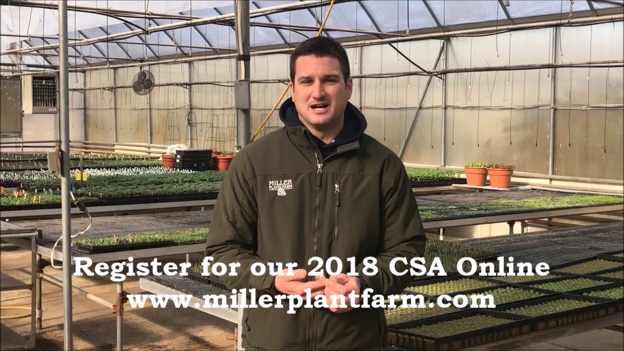 Why Join Our CSA Part #1