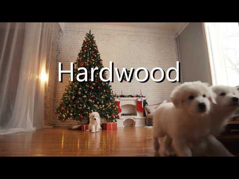 Christmas 2019