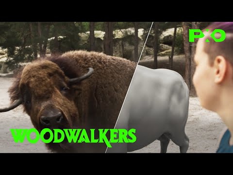 Turning Actors into Animals - Woodwalkers | VFX Breakdown