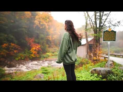 Jahn Solo ft. Delicia - It's Gone (Original Mix)