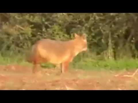 https://www.youtube.com/embed/TBsWd9VLyIc
