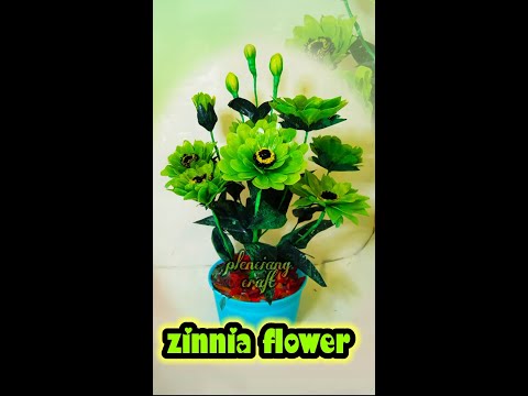 #short zinnia flower from plastic