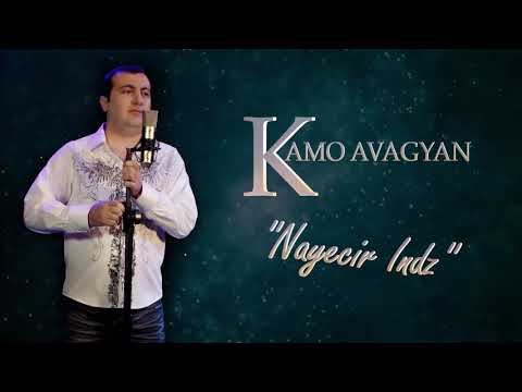 Kamo Avagyan NAYECIR INDZ