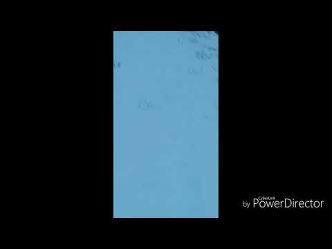 Trenul IR 381 Vicşani Frontieră-Bucureşti Nord GR.A în gara Dolhasca