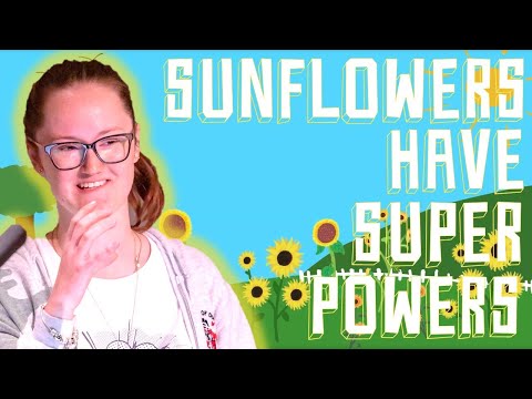 Super sunflowers: foods, biofuels & hidden disabilities