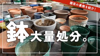 [Clean up your garden] How to organize your over-populated flower pots!