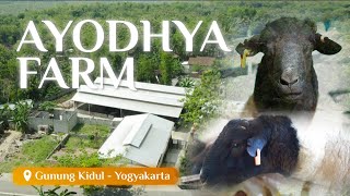 Download lagu Ayodhya Farm - Gunung Kidul Yogyakarta mp3 Download lagu Ayodhya Farm - Gunung Kidul Yogyakarta mp3