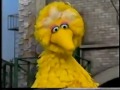 Sesame Street Big Bird Helps Carlo Gina New HD