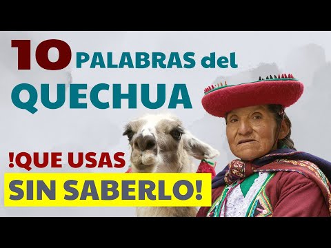 10 words of QUECHUA origin that you use every day in SPANISH! 🧐