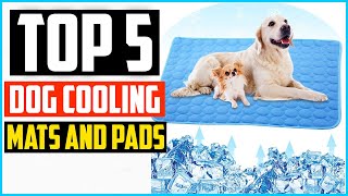 ✅Top 5 Best Dog Cooling Mats and Pads in 2024 Reviews