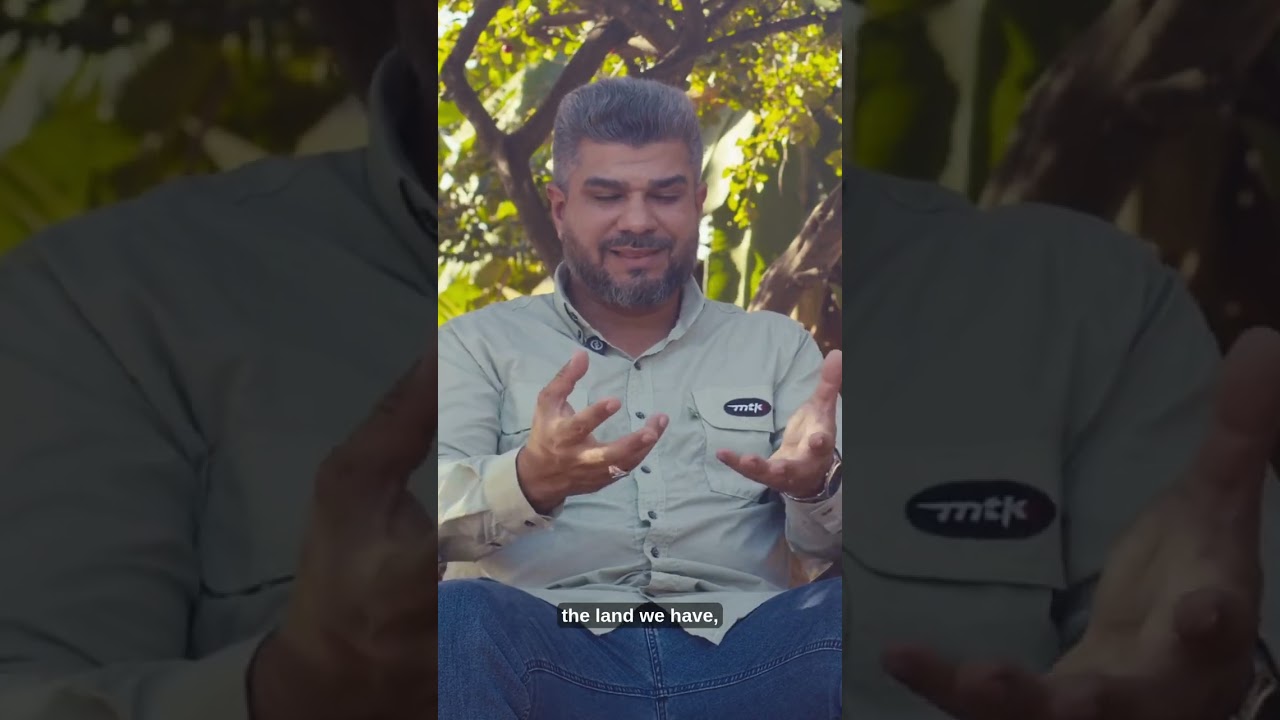 Produzir mais sem abrir novas áreas