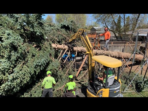 'That’s our heart and soul': Sandy Zimmerman's Ninja Fortress nearly destroyed in Spokane's Sunday w