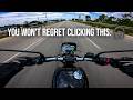 ASMR Triumph Tracker 400 Pure Sound Strell