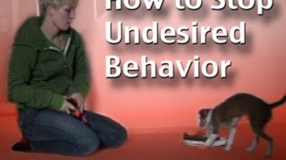 How to stop unwanted behavior-  the positive interrupter - clicker dog training