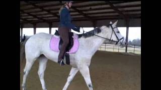 Christmas Ride on Roxie