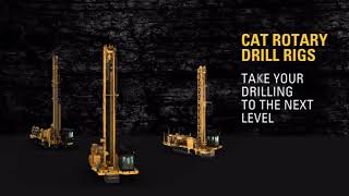 Cat Drills