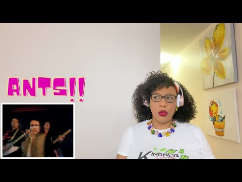 Adam & The Ants - Antmusic | REACTION| REACTION