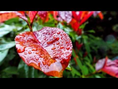 Reel Skaps, Man D.O - Crazy Love (Myazisto 71Touch)