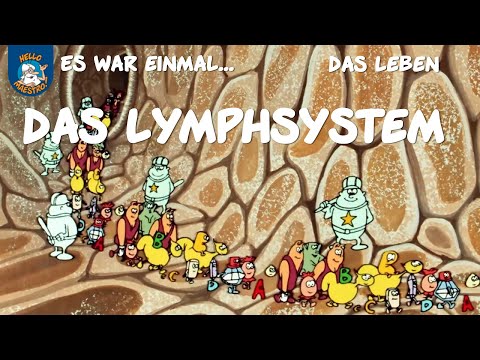 Das Lymphsystem (Es war einmal... das Leben | Ausschnitt)