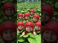 Hulu Lulu Hulu Lulu
