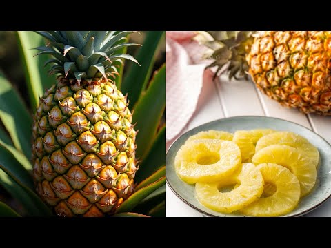 UHATA INANASI NABI / DORE UKO WAYIHATA NEZA NKABA CHEF KDI UTAYIBAZUYE!