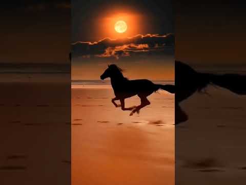 Lu asurup by Angiro Francis