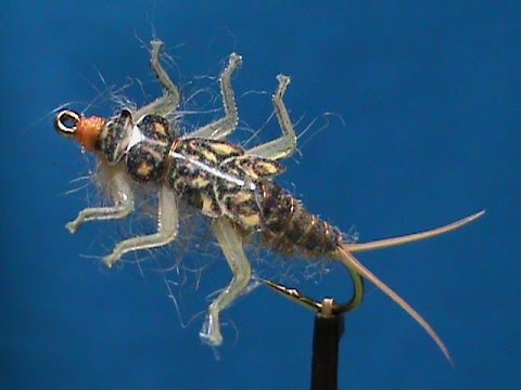 Hemingway's Golden Stonefly 