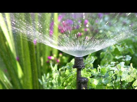 Antelco Spectrum 360° Adjustable Flow Irrigation Sprays Installation