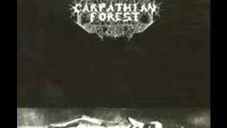 Carpathian Forest - Northern Hemisphere