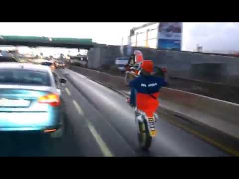 DOG BIKERS x #MWB FLO NOGAR 972 Mada