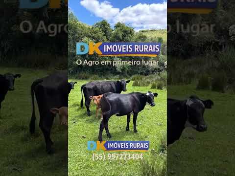 R$ 7,5 MILHÕES POR 725 HECTARES EM PINHEIRO MACHADO!