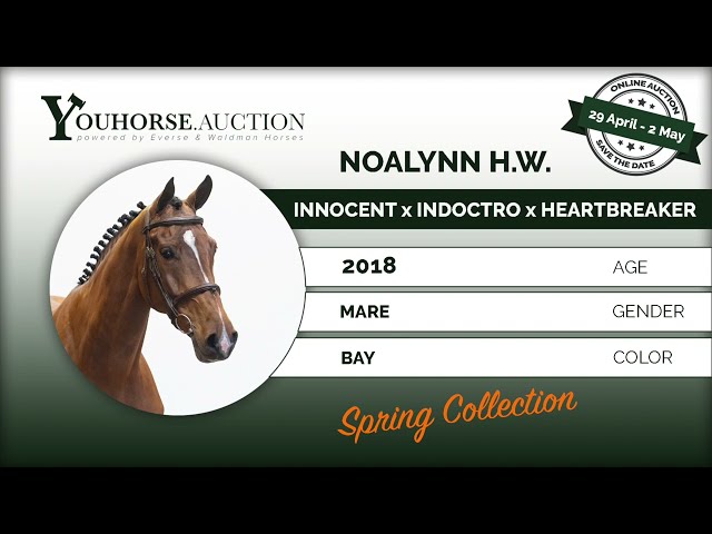 Noalynn HW