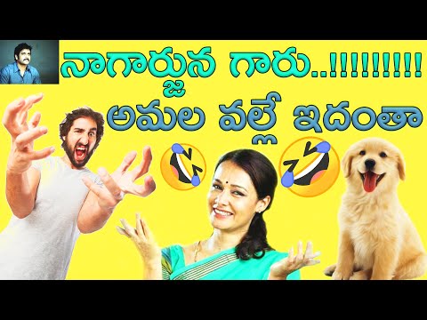 funny conversation about dogs