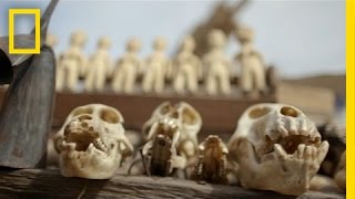 Voodoo Market Reveals Wildlife Trafficking’s Grim Reality | National Geographic