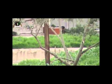 برومو عمليات لواء درع محافظة حماة على طريق حلب