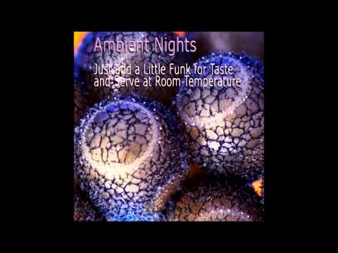 AMBIENT NIGHTS - PART 25 - Just add a Little Funk for Taste and Serve at Room Temperature