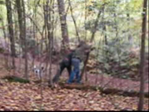 Muotak - Moboo Forest