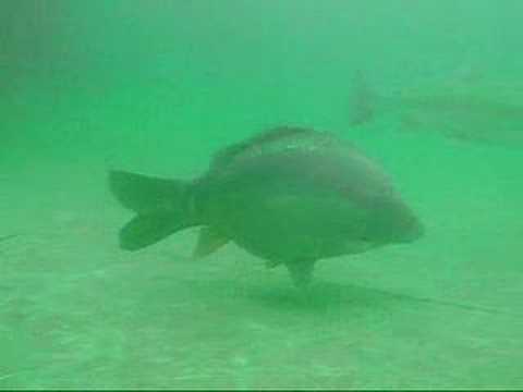 Scuba Diving Ibbenbüren