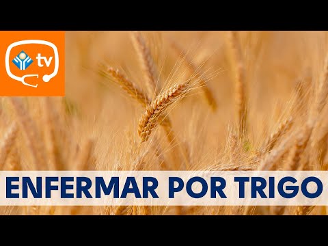 ¿Enfermar por trigo es posible?