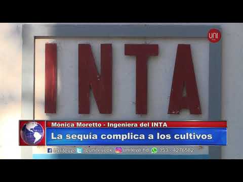 Sequía en los campos